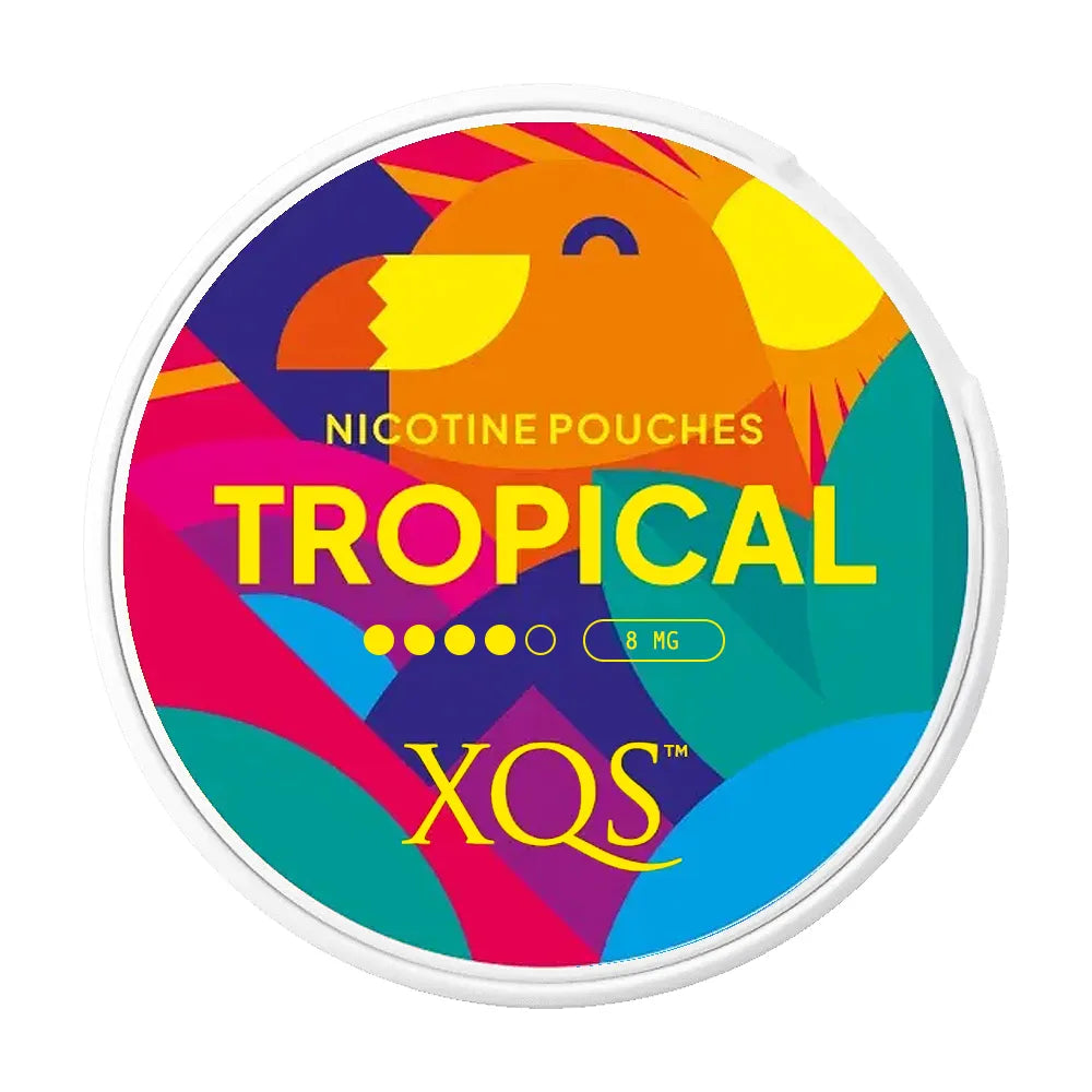 Colorful packaging of XQS Tropical nicotine pouches with a parrot illustration on a white background.