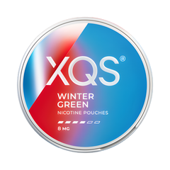 XQS Winter Green nicotine pouches container on a white background